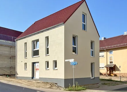 Straßenansicht seitlich - Haus kaufen in Eschau - Neubau -  freistehendes Wohnhaus in Eschau