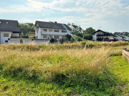 Außenansicht - Grundstück kaufen in Leidersbach - Viel Platz um Ihre Träume zu verwirklichen 