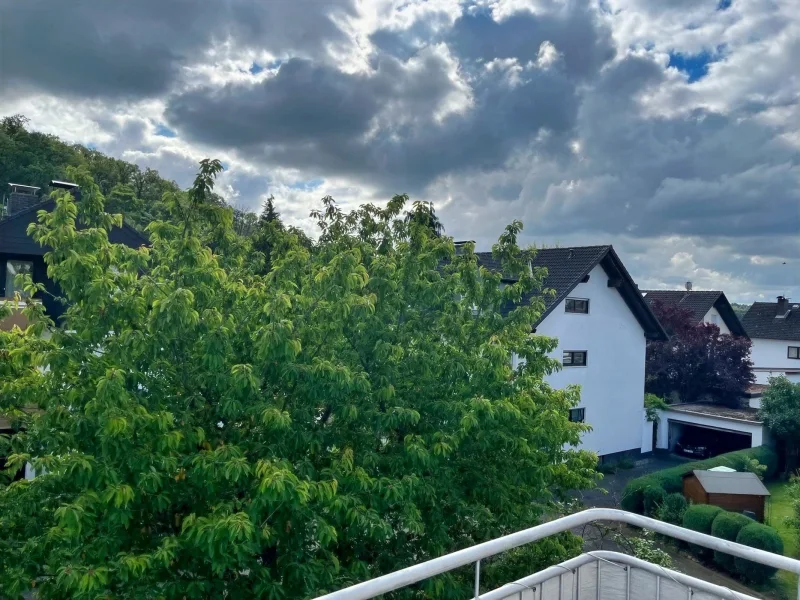 Ausblich vom Balkon