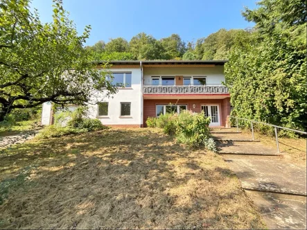 Außenansicht - Haus kaufen in Laudenbach - Großzügiges Wohnhaus in Laudenbach