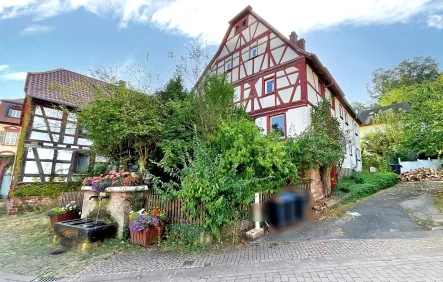 Außenansicht - Haus kaufen in Laudenbach - Historisches Fachwerkhaus in Laudenbach