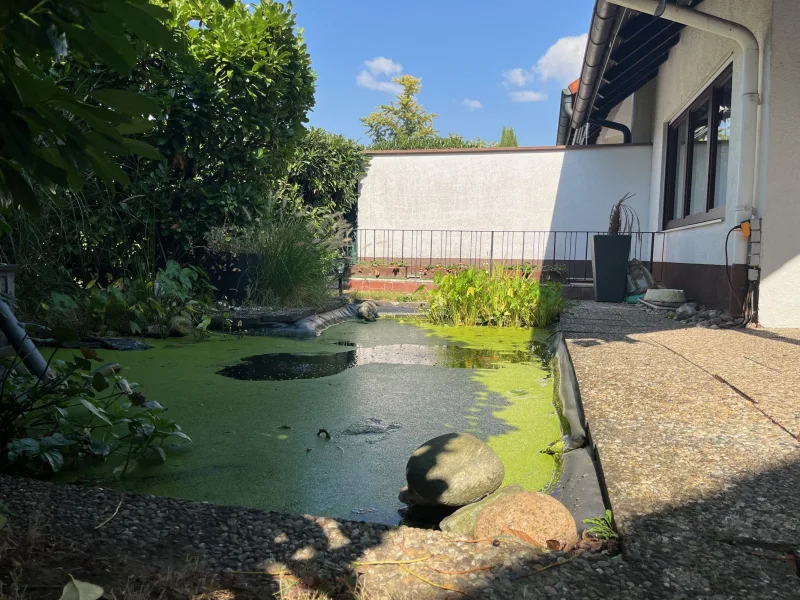 Uneinsehbare Terrasse mit Teich