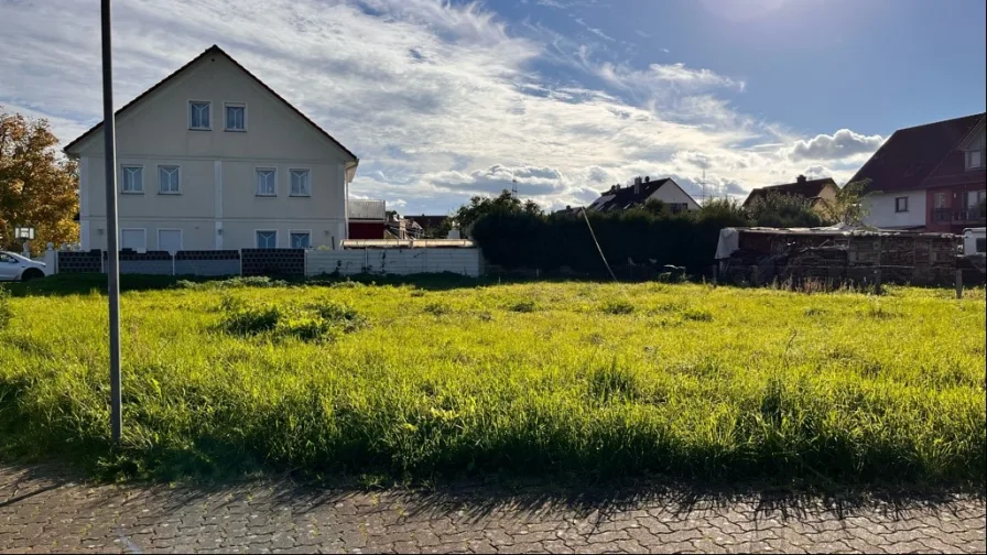 Blick auf das Grundstück - Grundstück kaufen in Mainaschaff - Verschiedene Bauweisen möglich