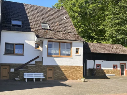 Außenansicht - Haus kaufen in Geiselbach - Die Natur als Nachbar