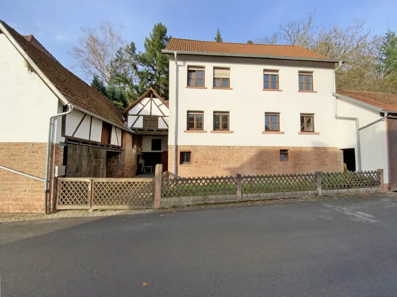 Außenansicht - Haus kaufen in Leidersbach - Viel Platz für Mensch und Tier