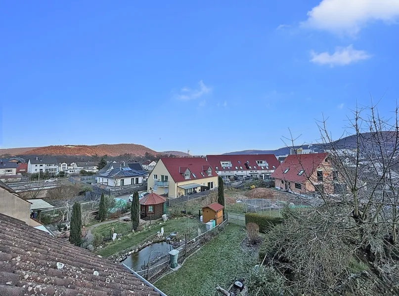 Ausblick zu den Weinbergen