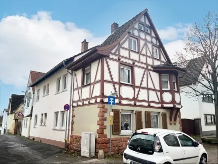 Außenansicht - Haus kaufen in Aschaffenburg - Wohnen in Mainnähe