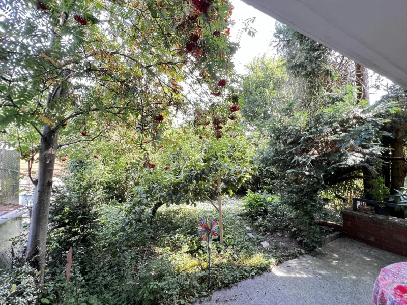 Blick in den Garten