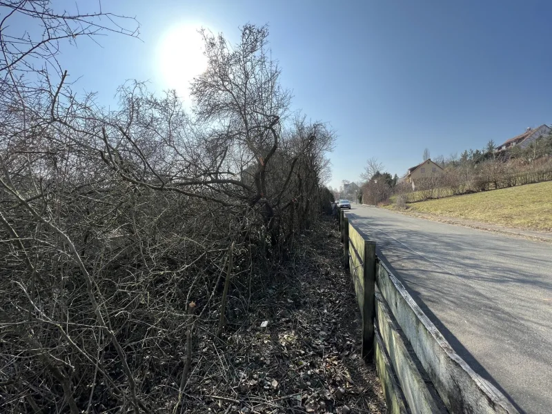 Blick zur Straße im Norden