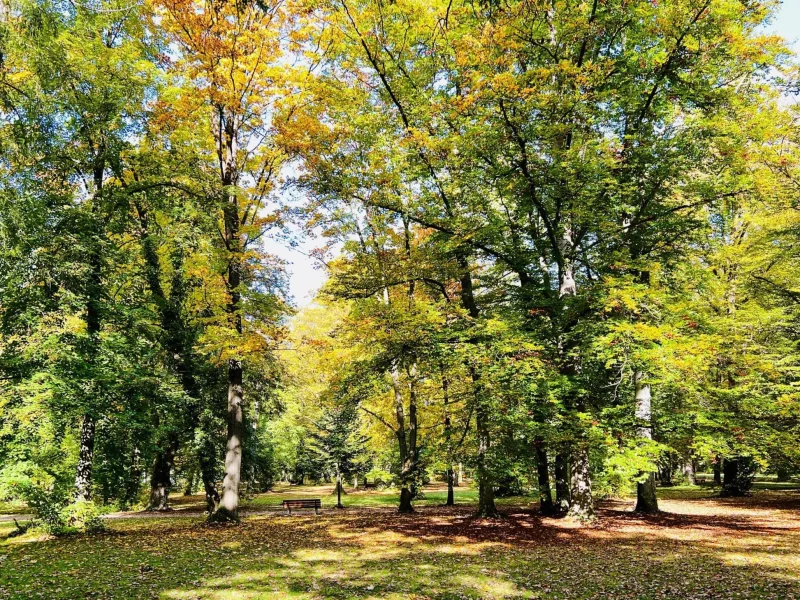 Im nahegelegnen Stadtpark