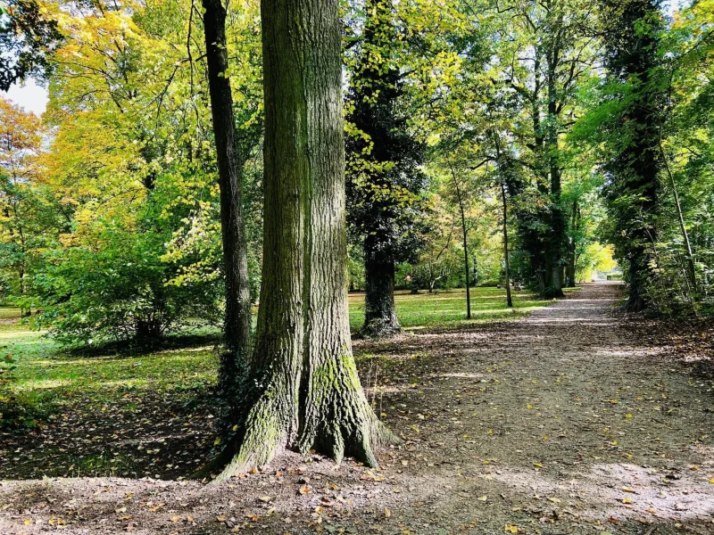 ruhige Lage nahe dem Stadtpark