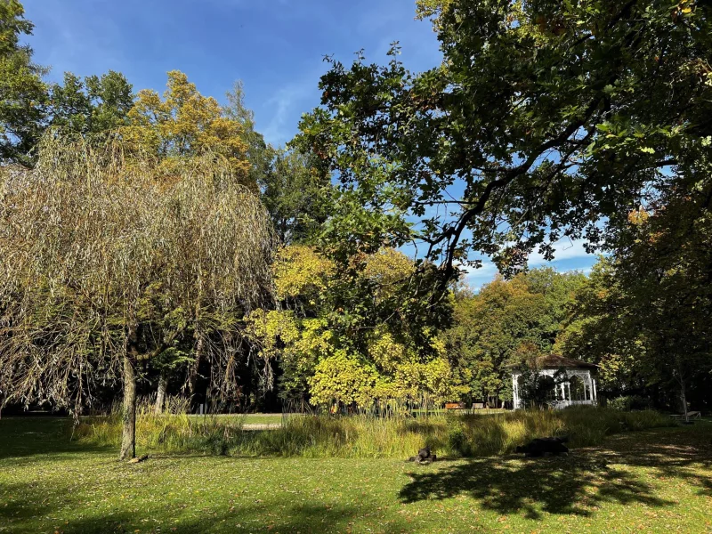 Weiher im Stadtpark