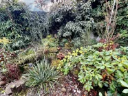 Der herbstliche Garten mit kleinem Teich