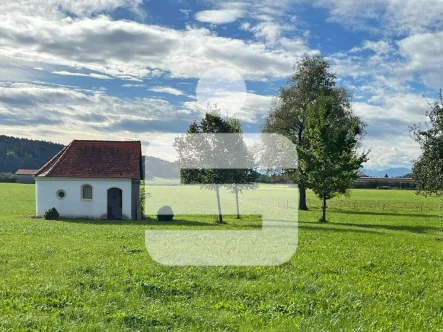 Ruhe mit Weitblick - Wohnung kaufen in Kaufbeuren - Neuwertige Vierzimmerwohnung in Top Lage mit Bergblick