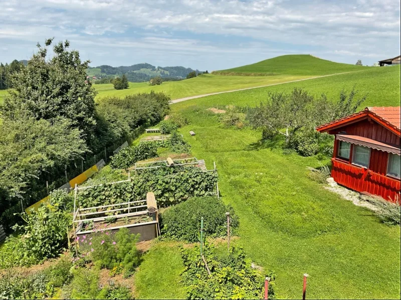 Ausblick auf den Garten