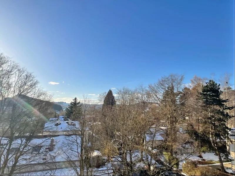 Aussicht Westbalkon