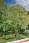 Blick vom Balkon in den Schloßpark