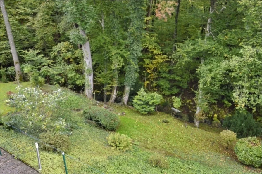 Blick in den Schloßpark vom Balkon aus