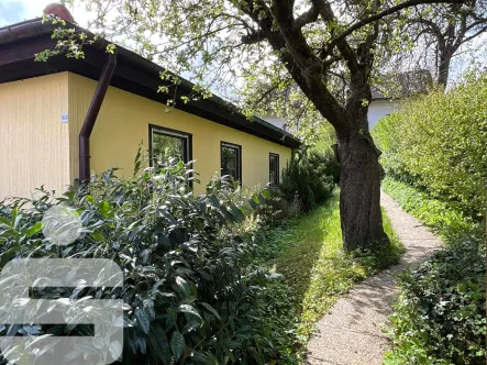 Freistehendes Wohnglück mit Solaranlage - Haus kaufen in Elchingen - Freistehendes Wohnglück mit Solaranlage