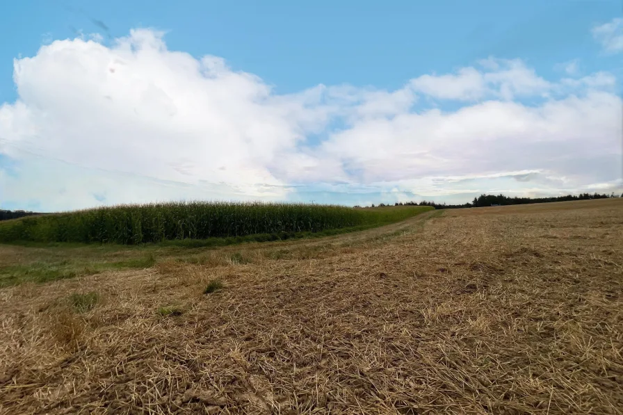 Ansicht von Westen mit Weg