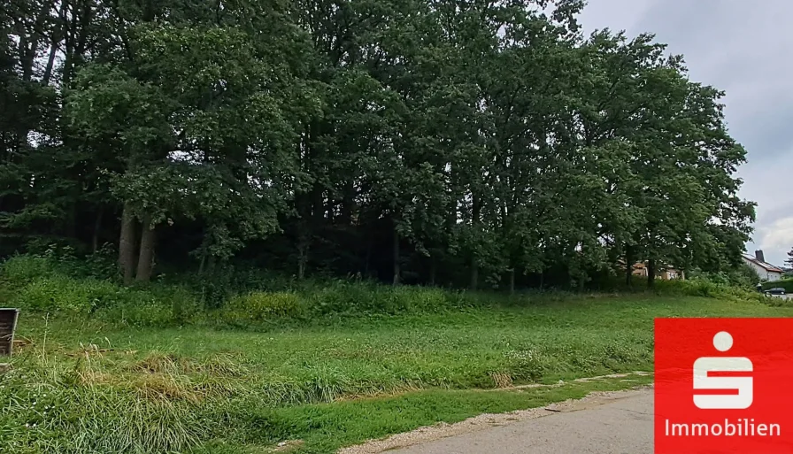 Titelbild - Grundstück kaufen in Gerolsbach - Herrlich gelegenes Grundstück mit schönem Baumbestand