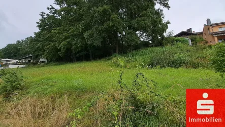 Titelbild - Grundstück kaufen in Gerolsbach - Hier können Sie Ihr Traumhaus im Grünen verwirklichen!