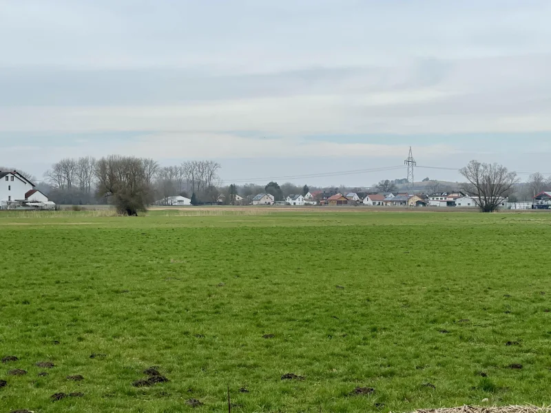 Ausblick ins Grüne