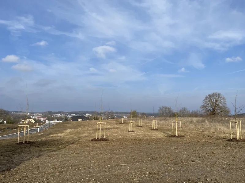 Blick auf das Baugebiet