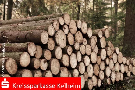 Wald_by_Harald Schottner_pixelio.de-1 - Land- und Forstwirtschaft kaufen in Kelheim - Wald bei Thaldorf - Rohstoff und Energie für die Zukunft!