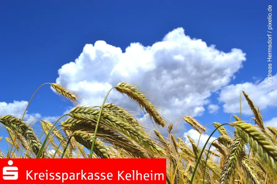 Musterfoto - Grundstück kaufen in Biburg - Ackerland bei Dürnhart - gefragt wie eh und jeh!