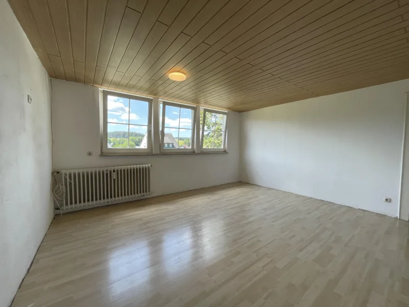 Große Wohnung DG