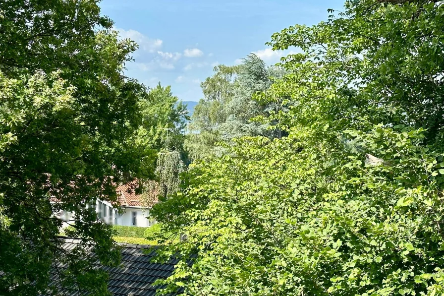 Ausblick zum Ammersee