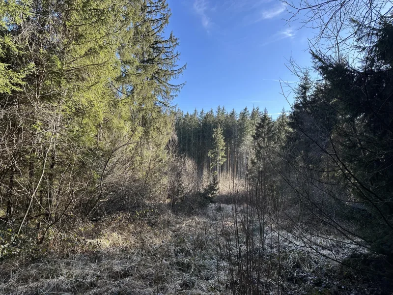 kleine Lücke im westl. Bereich