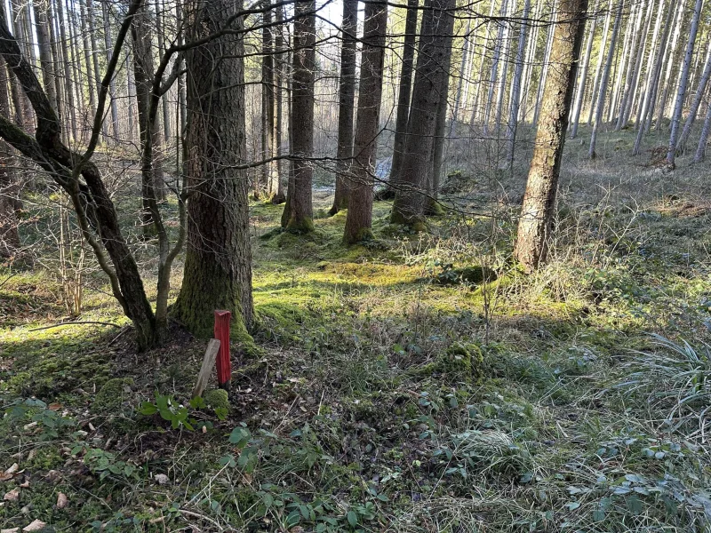 Grenzpunkt südwestl. Bereich