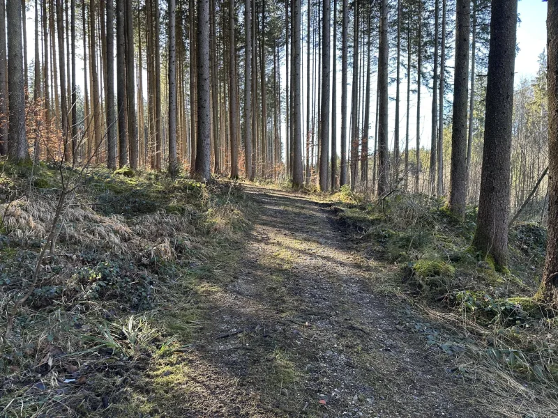 Offizielle Zufahrt von Südwest