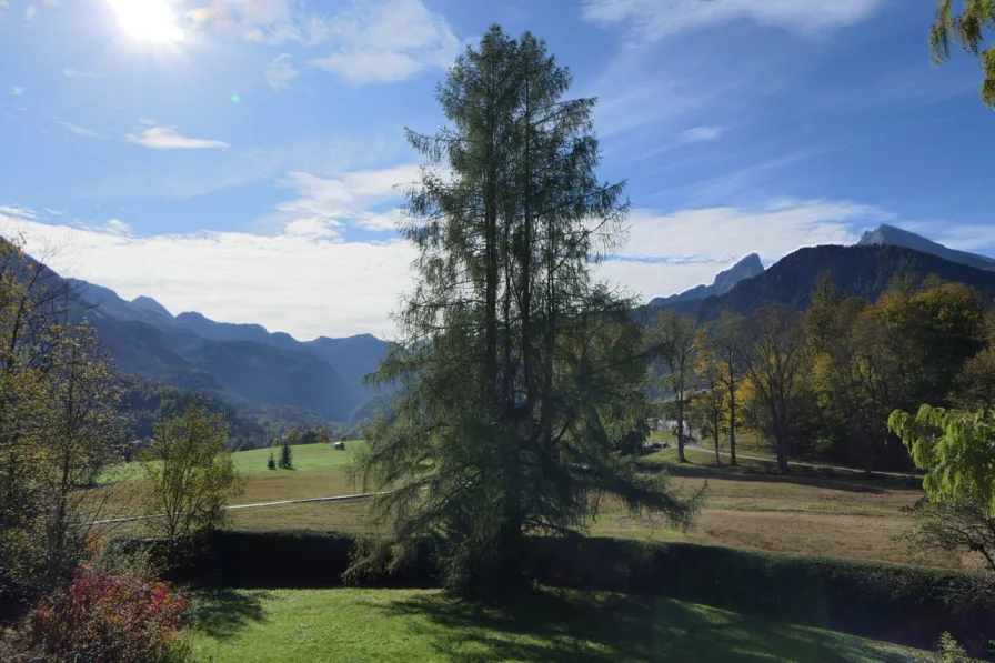 Göttlicher Ausblick - Haus kaufen in Schönau - Einfach ein Traum