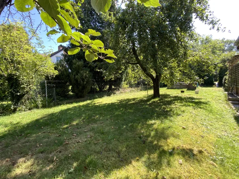 Im Garten spenden die Apfelbäume viel Schatten