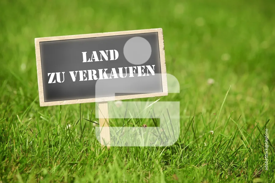 Titelbild - Grundstück kaufen in Vestenbergsgreuth - Naturnahe Investition...Waldfläche nähe Vestenbergsgreuth 