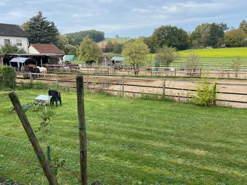 Blick zu den Nachbarn in Richtung Veilchenberg