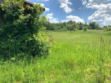 Grundstück/Garten - Grundstück kaufen in Weiden - Verwirklichen Sie sich hier Ihren Wohntraum! 