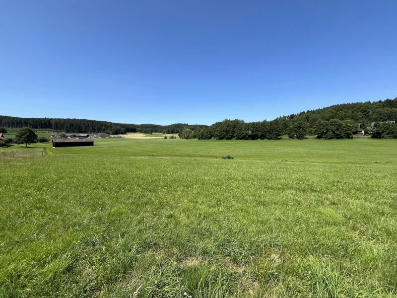 Blick in die Landschaft - Grundstück kaufen in Waidhaus - vielseitig nutzbares Grundstück umgeben von der Natur 