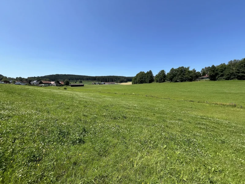 Grundstück mit genehmigter Bauvoranfrage