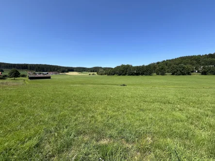 Blick in die Landschaft - Grundstück kaufen in Waidhaus - vielseitig nutzbares Grundstück umgeben von der Natur 