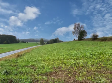 Ackerfläche - Grundstück kaufen in Pleystein - schön geschnittene Ackerfläche bei Pleystein 