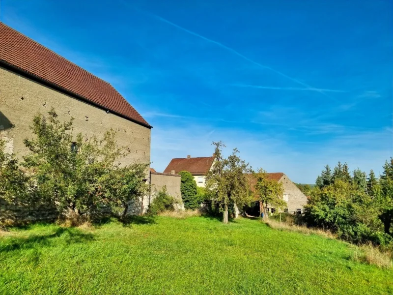 Sonnige und große Rasenfläche im Garten