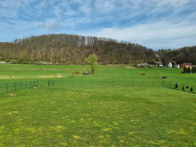 Toller Ausblick aus dem Garten in die angrenzende Natur