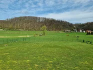 Toller Ausblick aus dem Garten in die angrenzende Natur