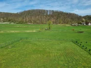 Ausblick vom Balkon in die Natur DG