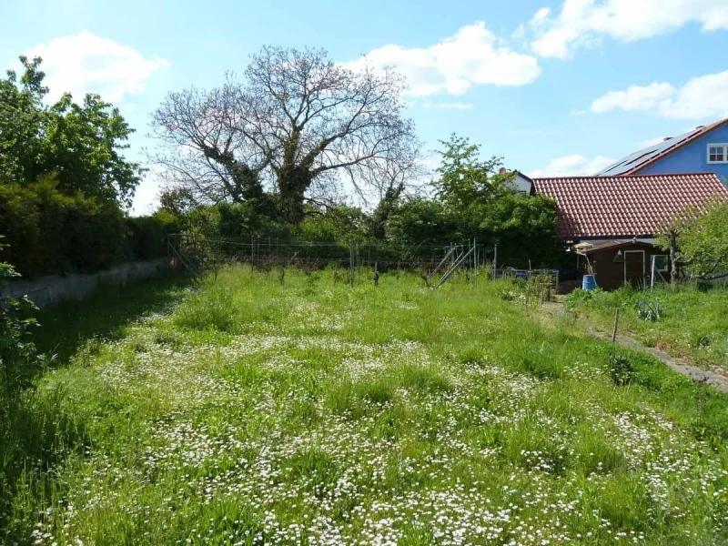 große, ebene Gartenfläche