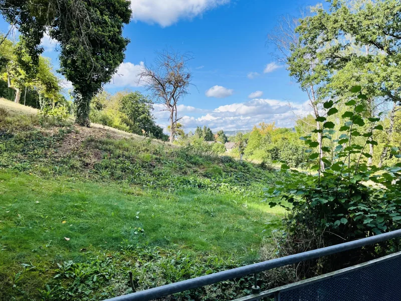 Blick vom Balkon ins Grüne